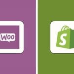 Best Ecommerce Services in Ahmedabad